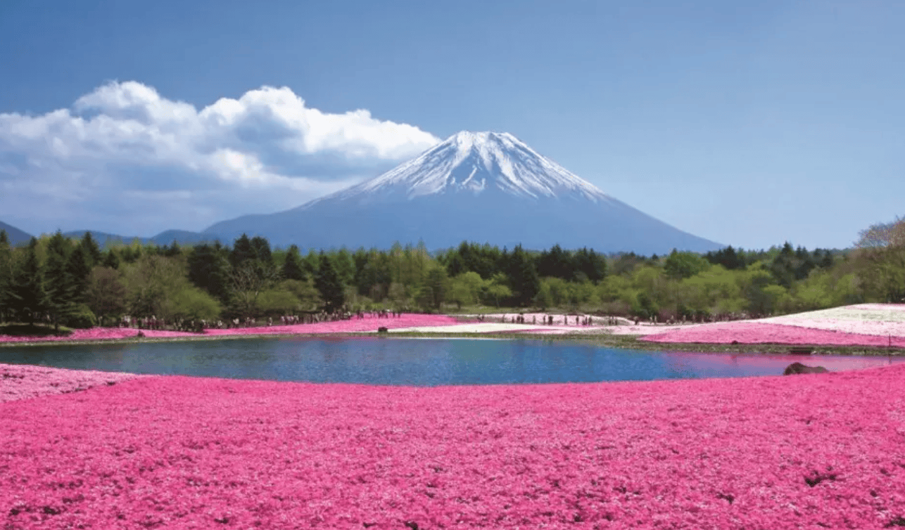 5月最佳旅遊國家｜1. 日本